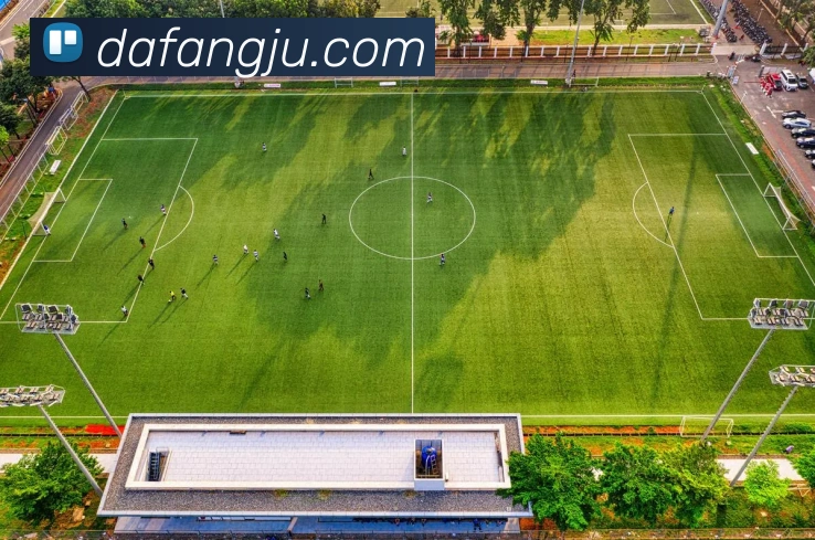 大发彩票平台生态图